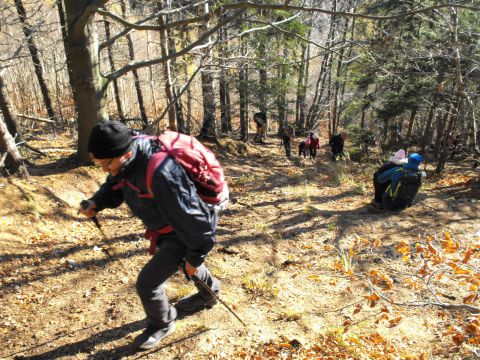Wycieczka w Góry Wałbrzyskie s118 - PTTK Strzelin