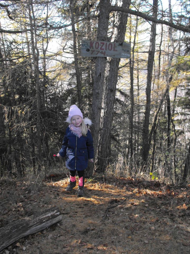 Wycieczka w Góry Wałbrzyskie s002 - PTTK Strzelin