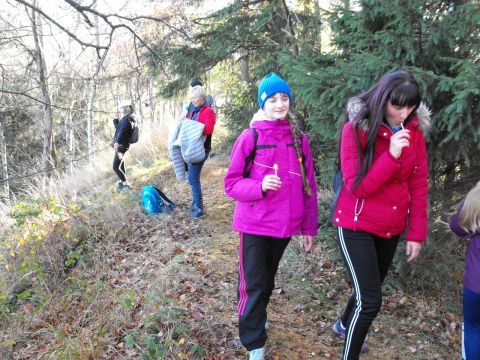 Wycieczka w Góry Wałbrzyskie s123 - PTTK Strzelin