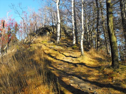 Wycieczka w Góry Wałbrzyskie s132 - PTTK Strzelin