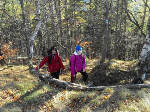 Wycieczka w Góry Wałbrzyskie s137 - PTTK Strzelin