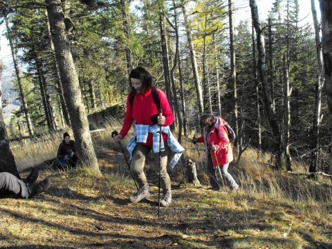Wycieczka w Góry Wałbrzyskie s138 - PTTK Strzelin
