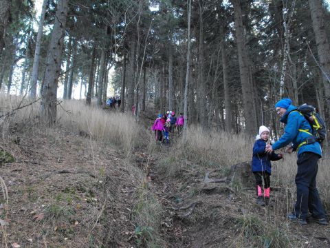 Wycieczka w Góry Wałbrzyskie s154 - PTTK Strzelin