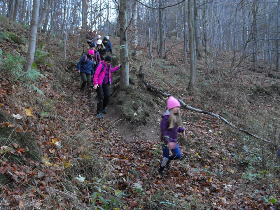 Wycieczka w Góry Wałbrzyskie s002 - PTTK Strzelin