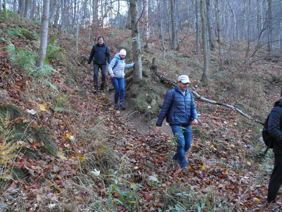 Wycieczka w Góry Wałbrzyskie s002 - PTTK Strzelin