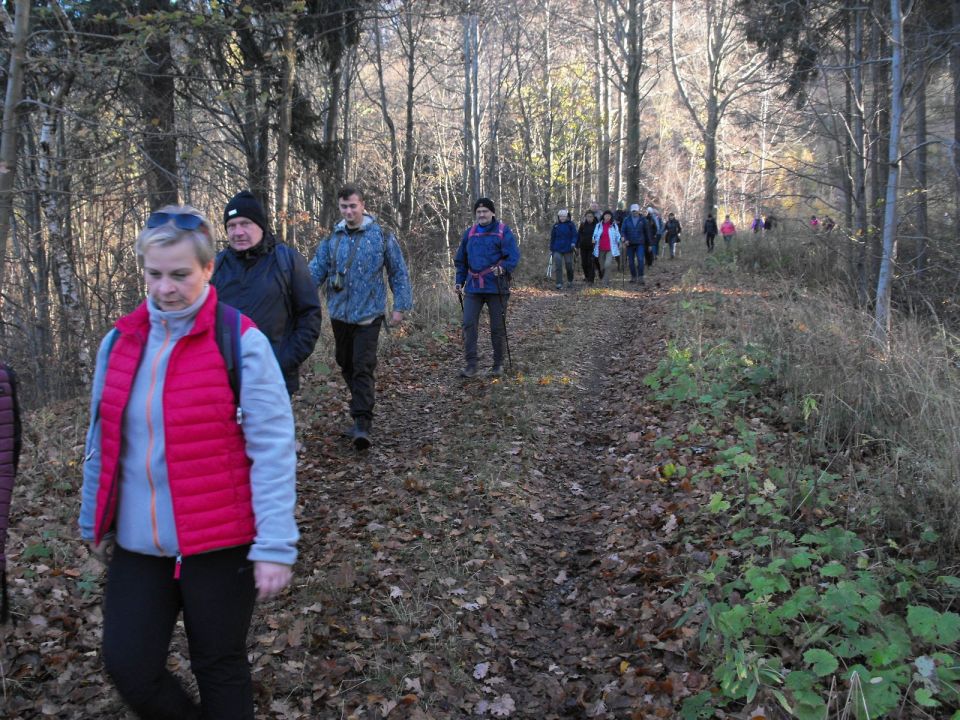 Wycieczka w Góry Wałbrzyskie s002 - PTTK Strzelin