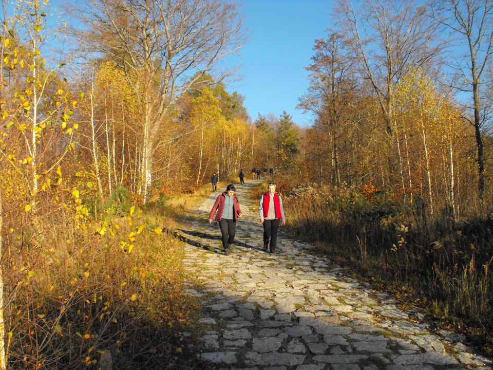 Wycieczka w Góry Wałbrzyskie s002 - PTTK Strzelin