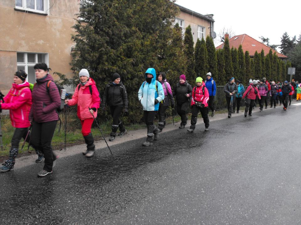 Wycieczka po Pogórzu Wałbrzyskim s002 - PTTK Strzelin