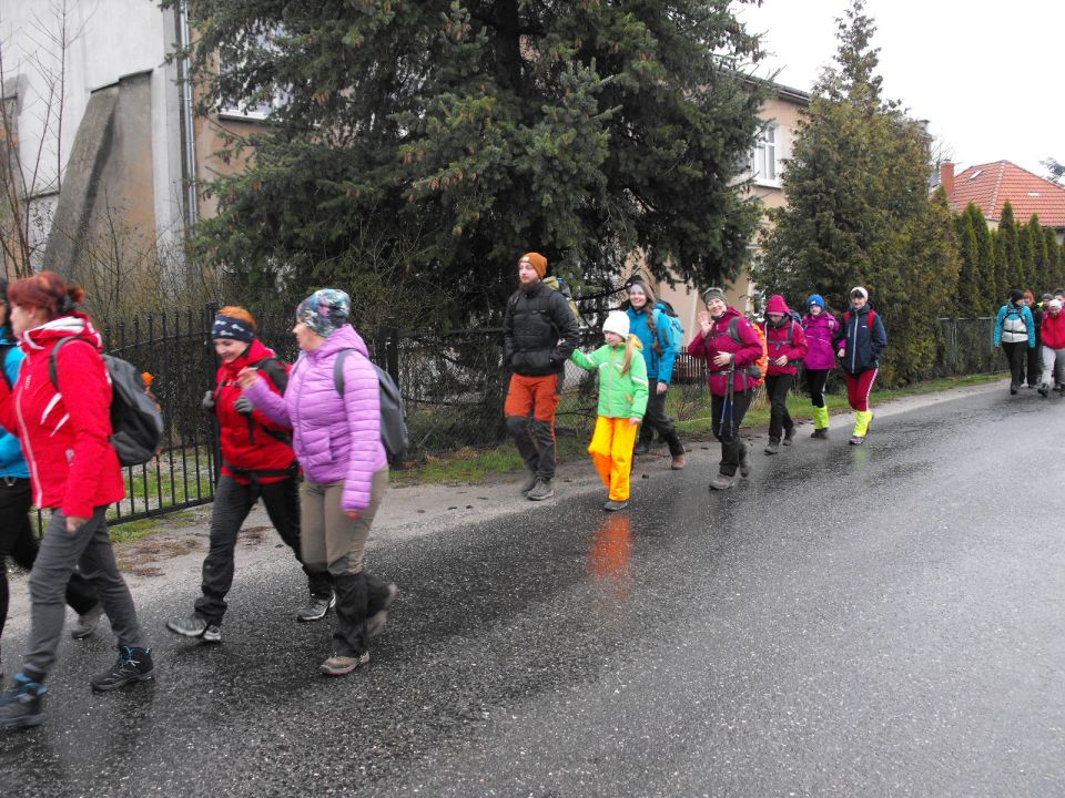 Wycieczka po Pogórzu Wałbrzyskim s002 - PTTK Strzelin