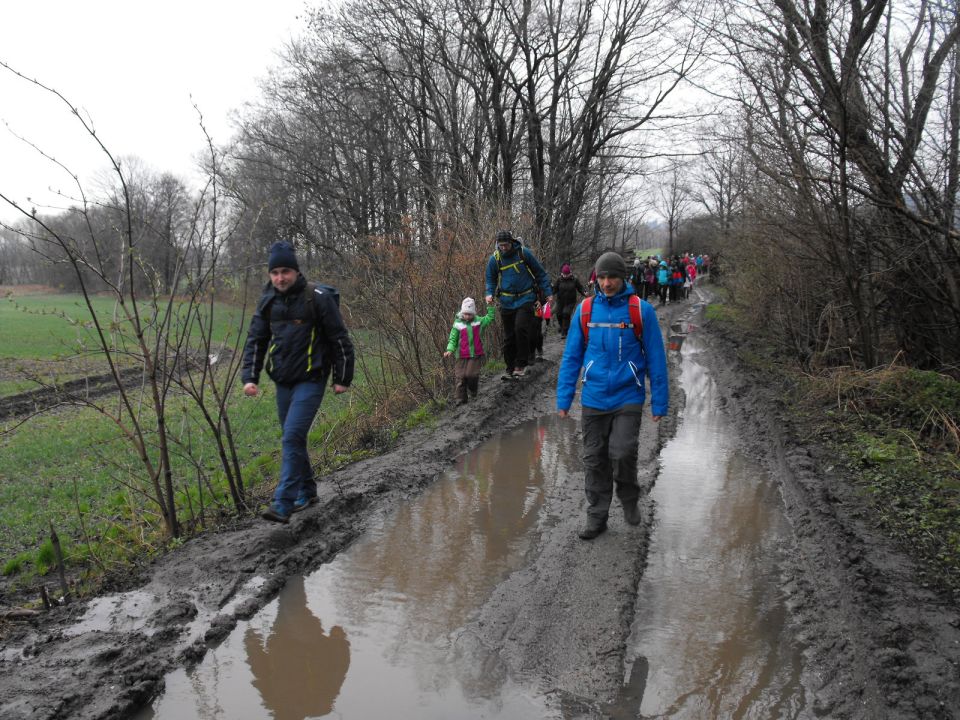 Wycieczka po Pogórzu Wałbrzyskim s002 - PTTK Strzelin