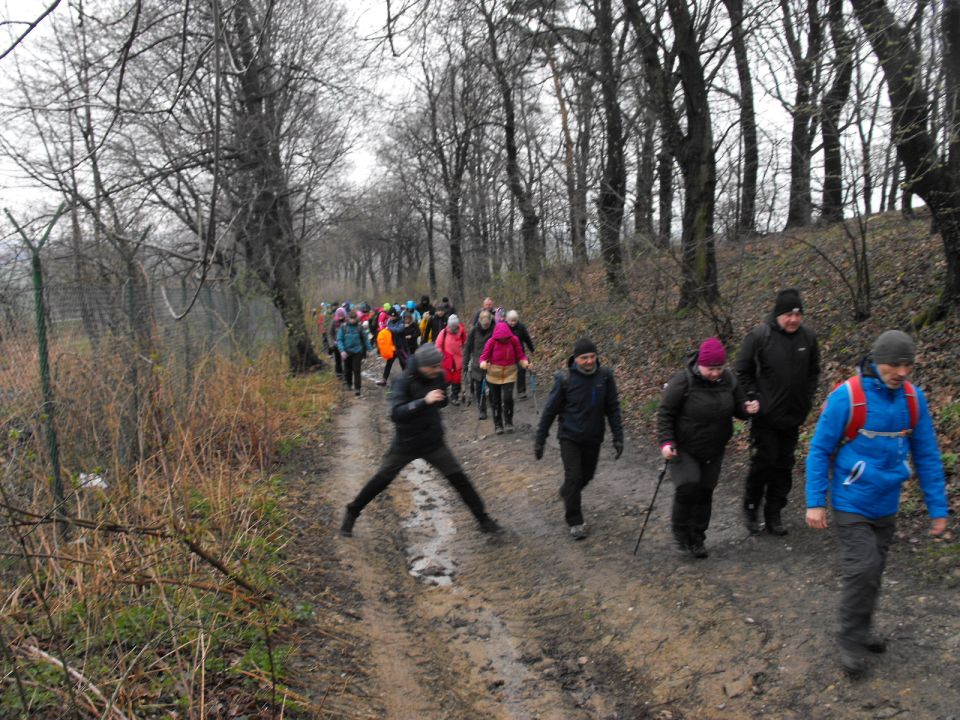 Wycieczka po Pogórzu Wałbrzyskim s002 - PTTK Strzelin