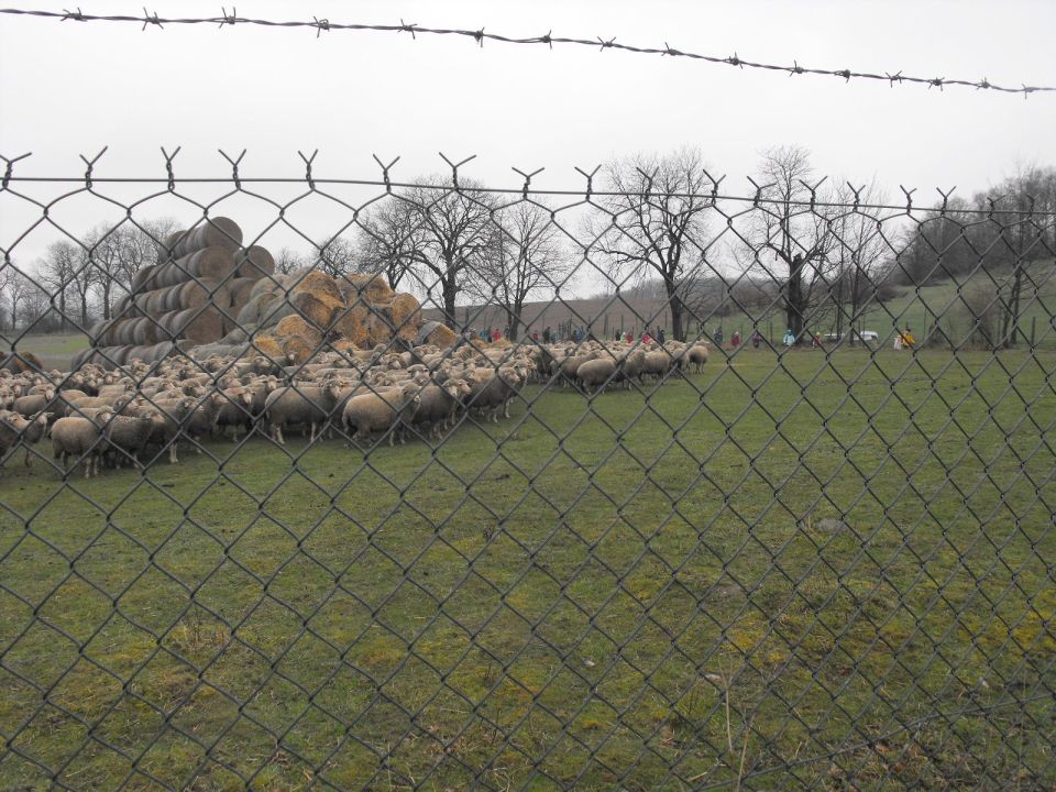 Wycieczka po Pogórzu Wałbrzyskim s002 - PTTK Strzelin