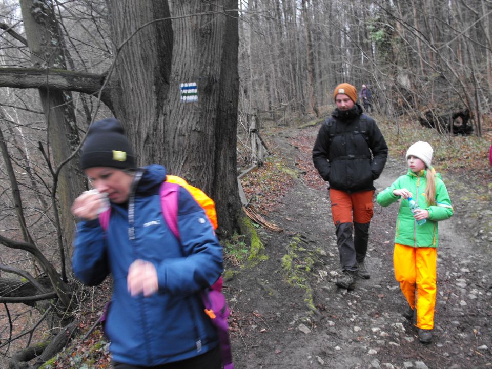 Wycieczka po Pogórzu Wałbrzyskim s002 - PTTK Strzelin