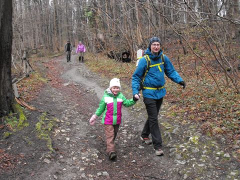 Wycieczka po Pogórzu Wałbrzyskim s39 - PTTK Strzelin