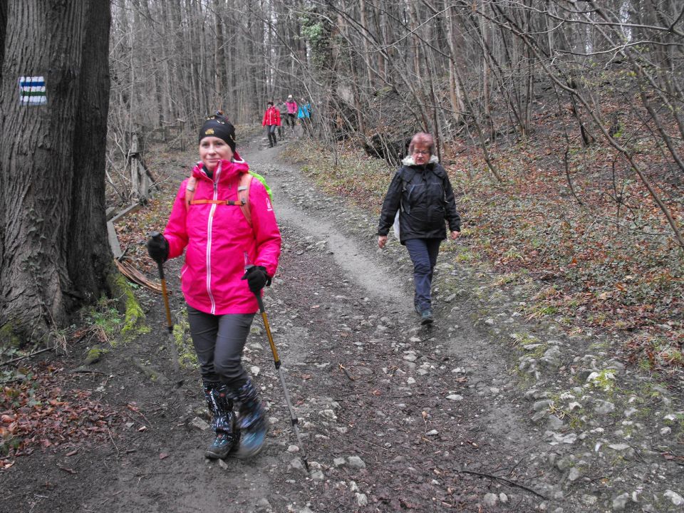 Wycieczka po Pogórzu Wałbrzyskim s002 - PTTK Strzelin