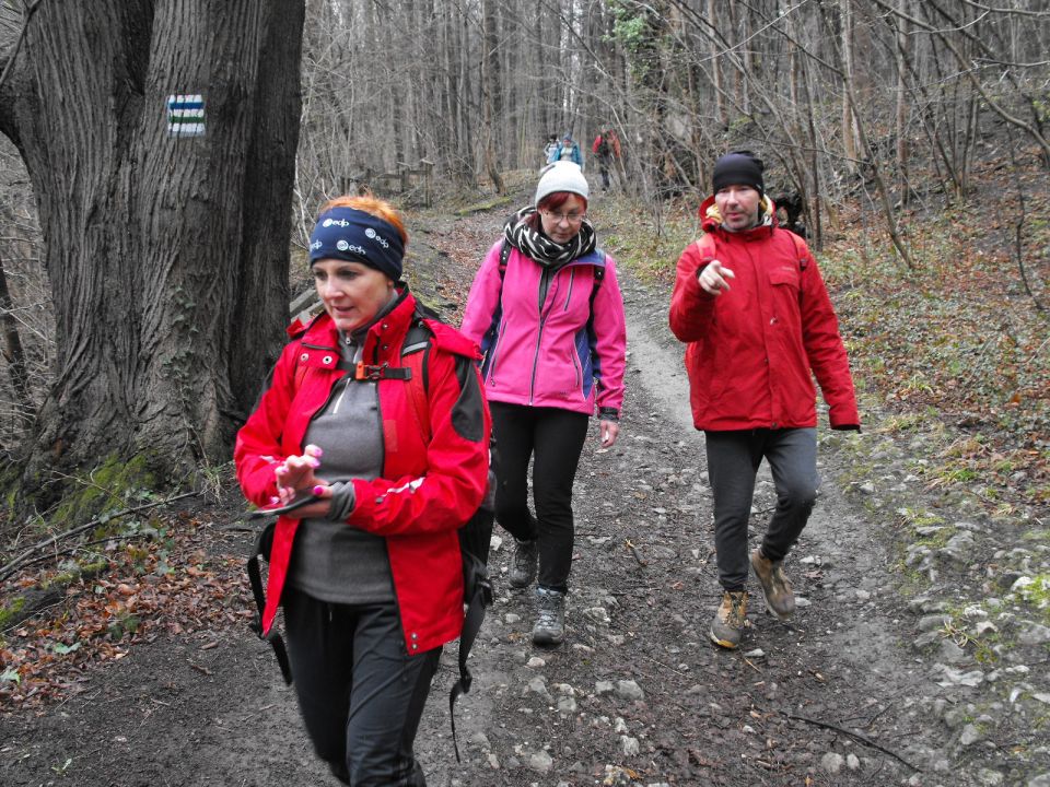 Wycieczka po Pogórzu Wałbrzyskim s002 - PTTK Strzelin