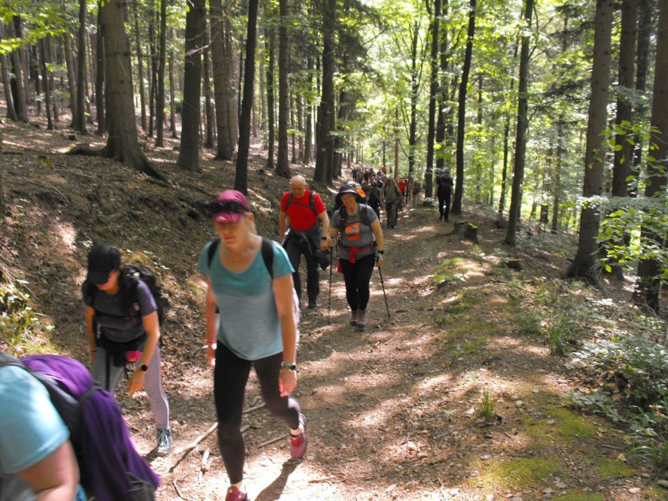 Wycieczka w Góry Wałbrzyskie s002 - PTTK Strzelin