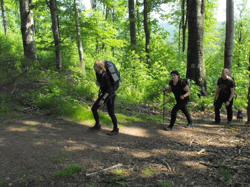 Wycieczka w Góry Wałbrzyskie s002 - PTTK Strzelin