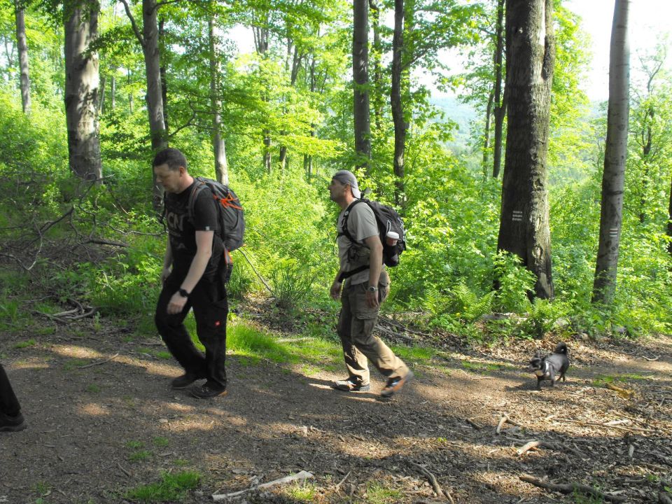 Wycieczka w Góry Wałbrzyskie s002 - PTTK Strzelin