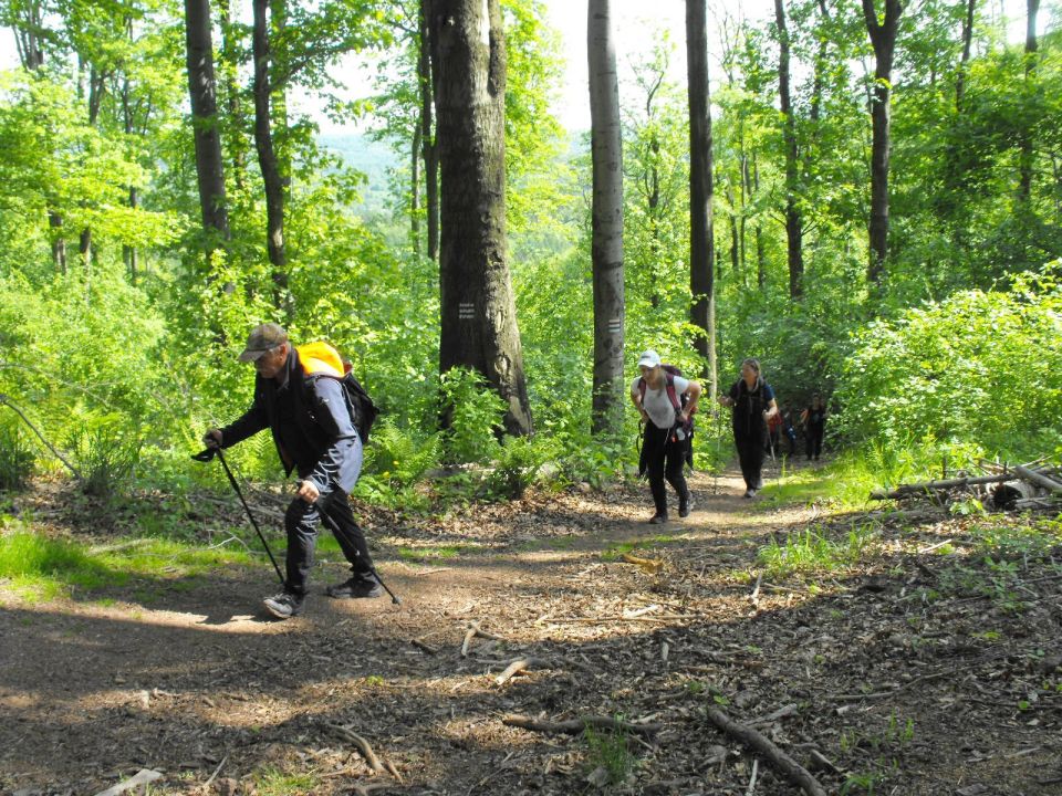 Wycieczka w Góry Wałbrzyskie s002 - PTTK Strzelin