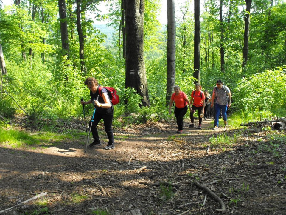 Wycieczka w Góry Wałbrzyskie s002 - PTTK Strzelin