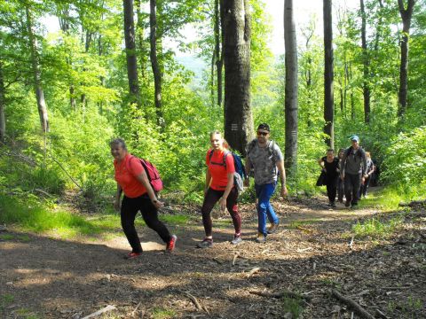 Wycieczka w Góry Wałbrzyskie s24 - PTTK Strzelin