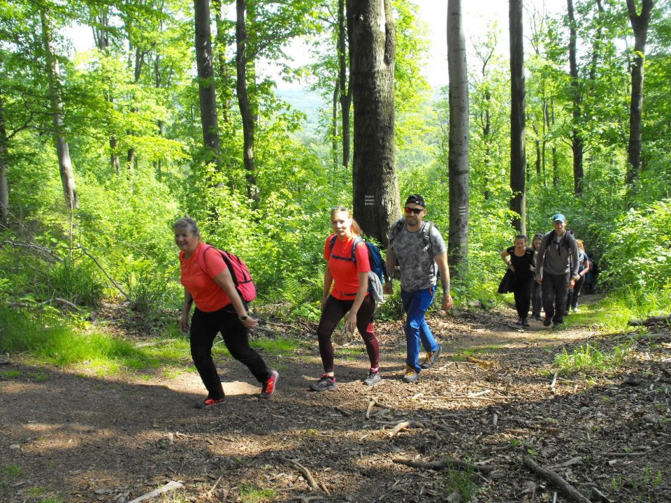 Wycieczka w Góry Wałbrzyskie s002 - PTTK Strzelin