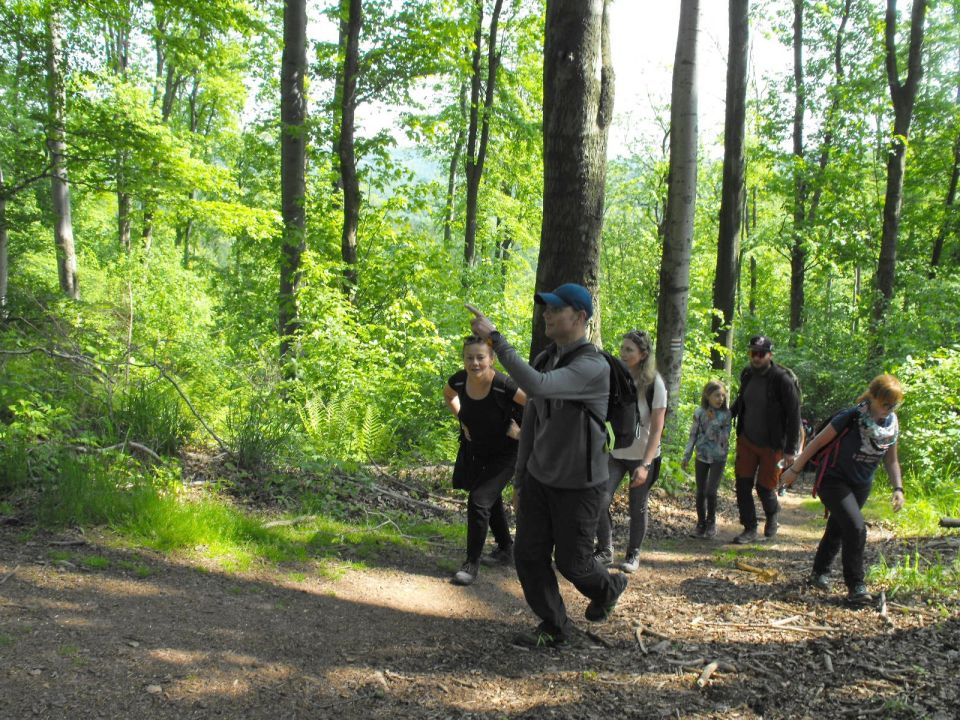 Wycieczka w Góry Wałbrzyskie s002 - PTTK Strzelin