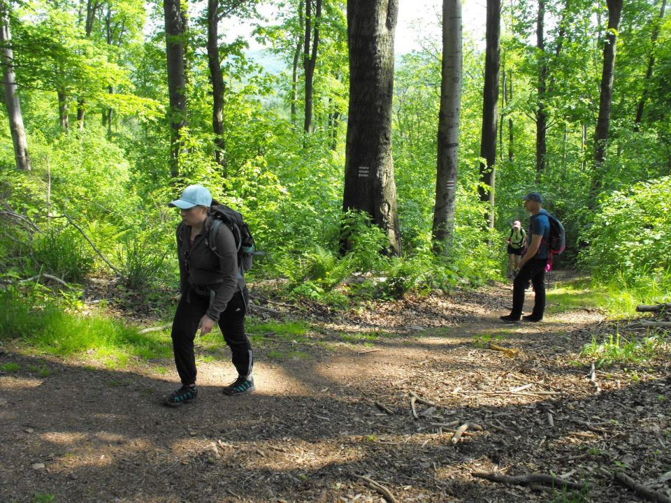 Wycieczka w Góry Wałbrzyskie s002 - PTTK Strzelin