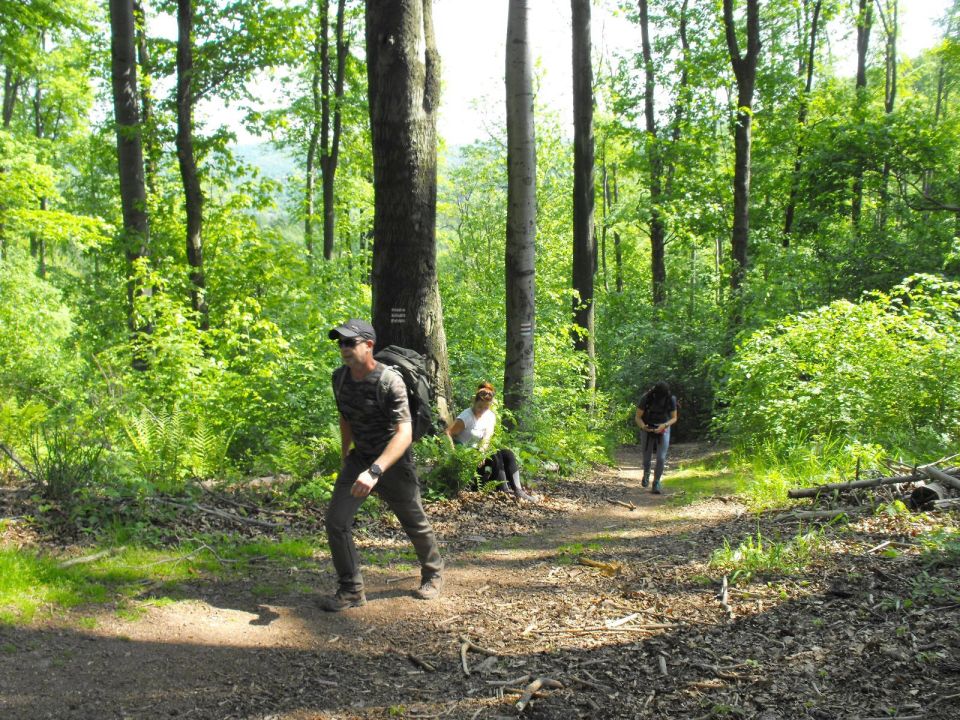 Wycieczka w Góry Wałbrzyskie s002 - PTTK Strzelin