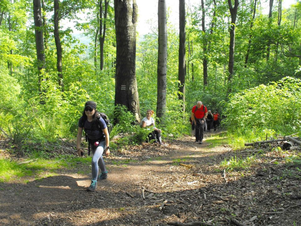 Wycieczka w Góry Wałbrzyskie s002 - PTTK Strzelin
