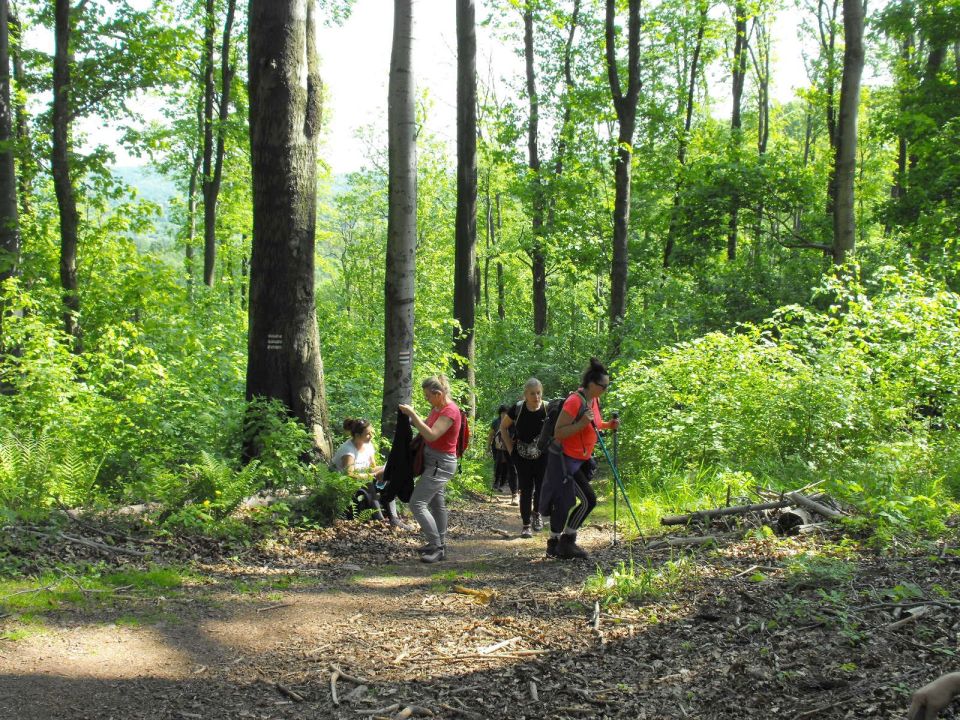 Wycieczka w Góry Wałbrzyskie s002 - PTTK Strzelin