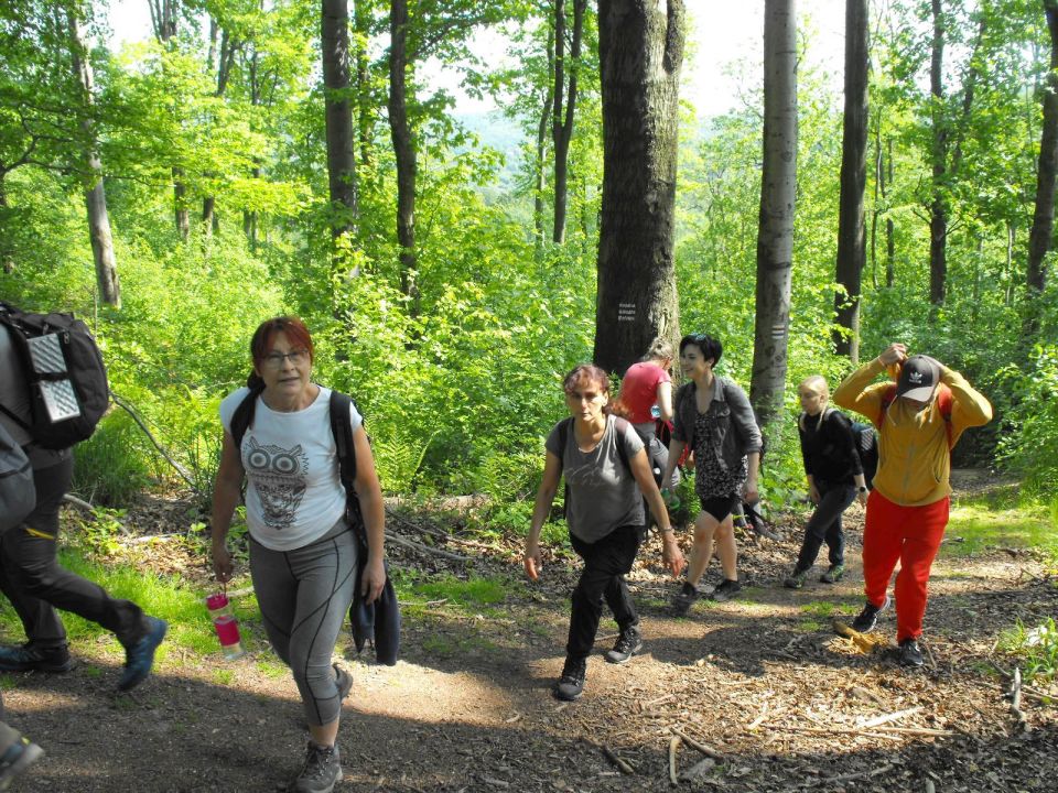 Wycieczka w Góry Wałbrzyskie s002 - PTTK Strzelin