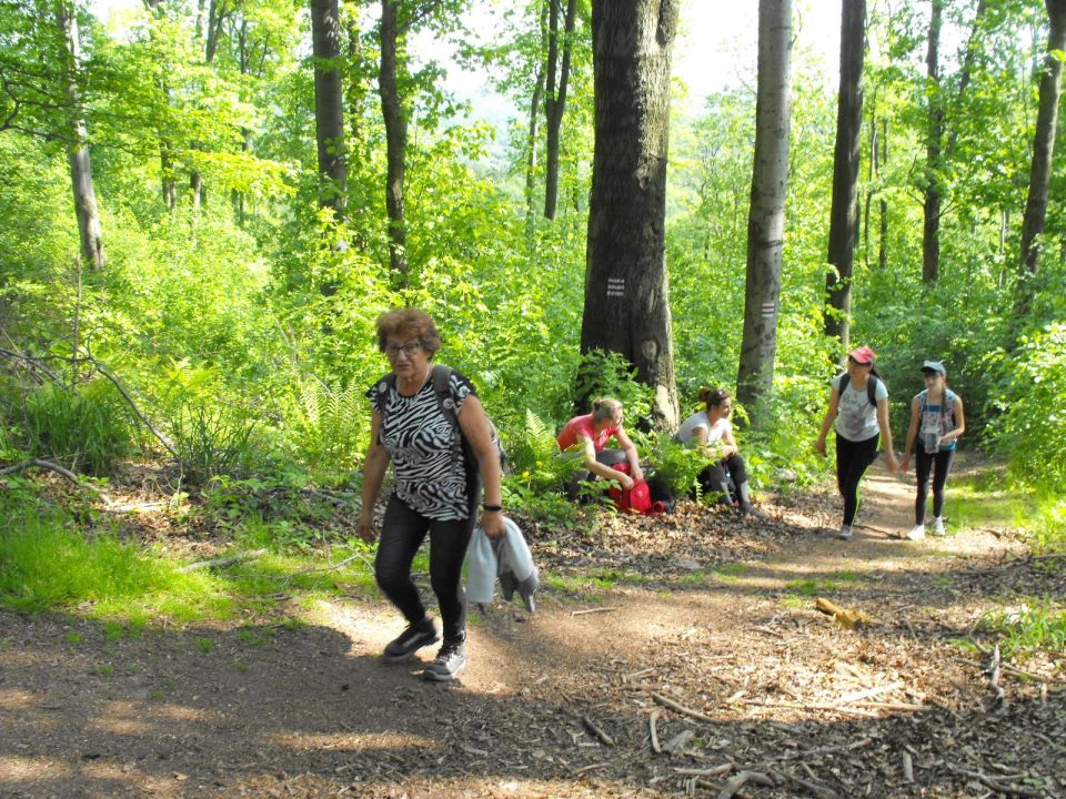 Wycieczka w Góry Wałbrzyskie s002 - PTTK Strzelin