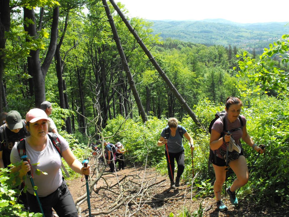 Wycieczka w Góry Wałbrzyskie s002 - PTTK Strzelin