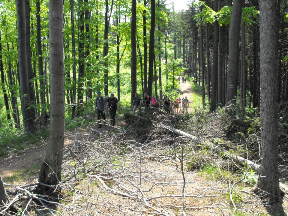 Wycieczka w Góry Wałbrzyskie s002 - PTTK Strzelin