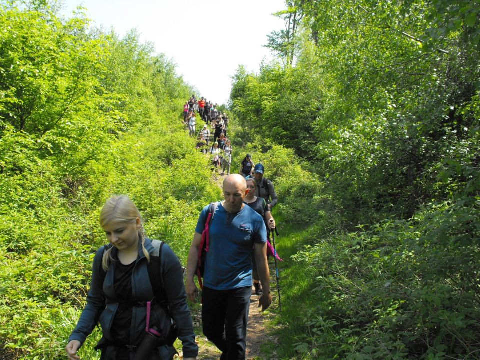 Wycieczka w Góry Wałbrzyskie s002 - PTTK Strzelin