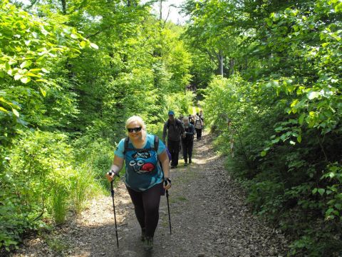 Wycieczka w Góry Wałbrzyskie s71 - PTTK Strzelin