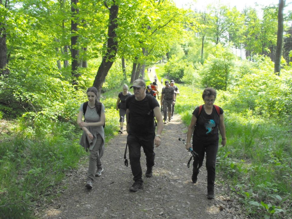 Wycieczka w Góry Wałbrzyskie s002 - PTTK Strzelin