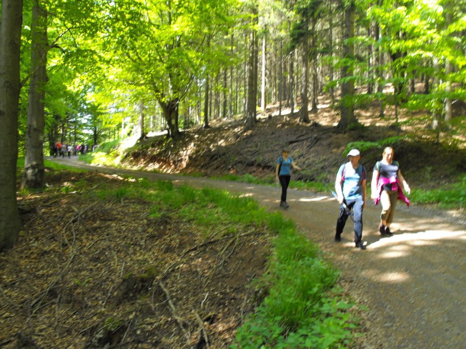 Wycieczka w Góry Wałbrzyskie s002 - PTTK Strzelin