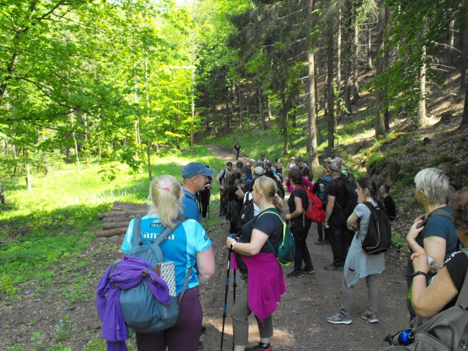 Wycieczka w Góry Wałbrzyskie s002 - PTTK Strzelin