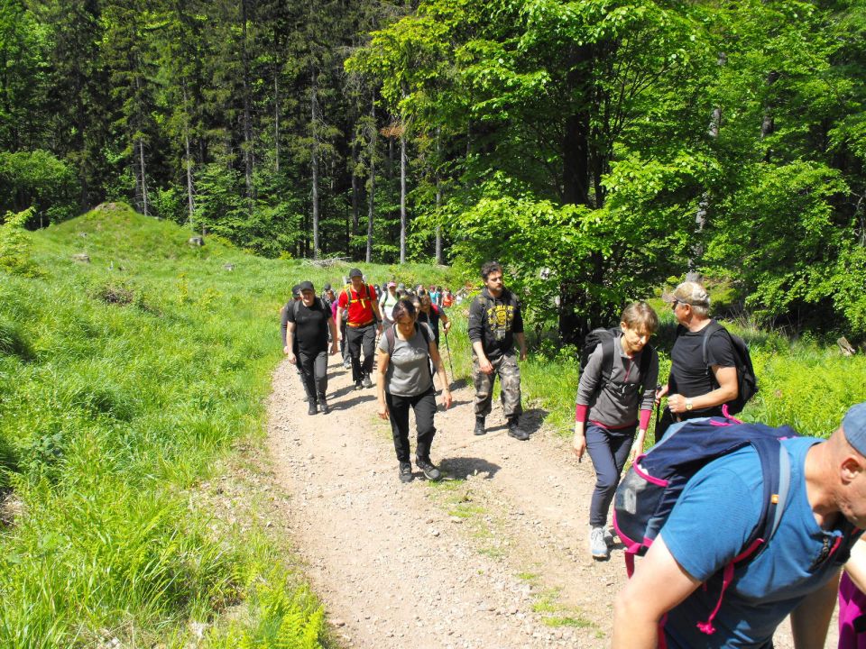 Wycieczka w Góry Wałbrzyskie s002 - PTTK Strzelin