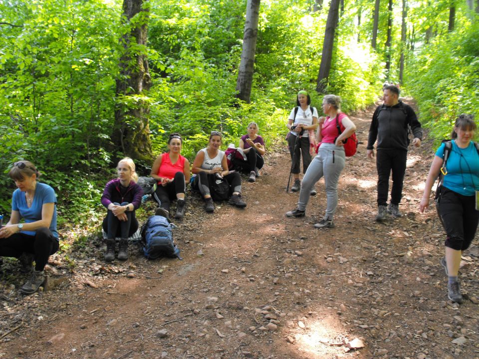 Wycieczka w Góry Wałbrzyskie s002 - PTTK Strzelin