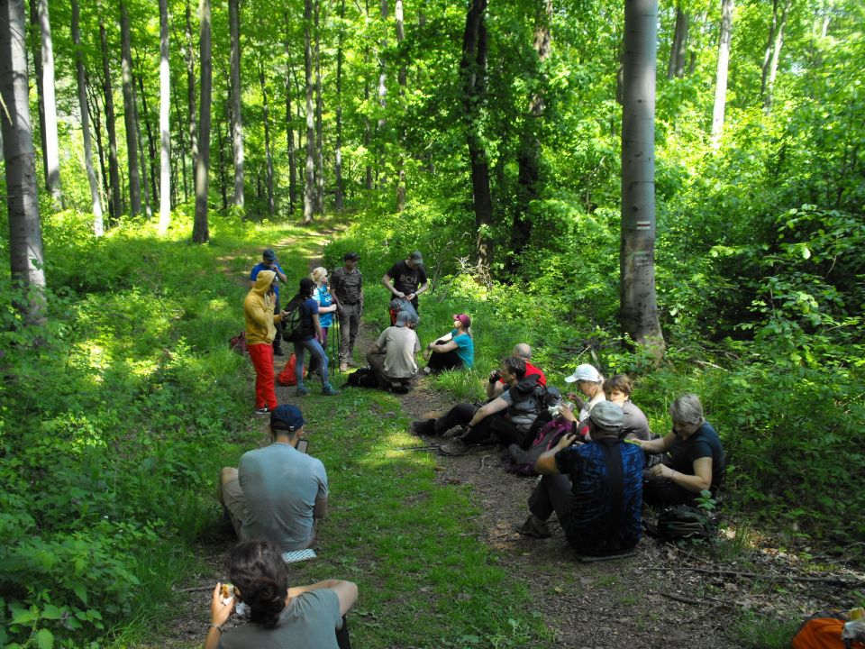 Wycieczka w Góry Wałbrzyskie s002 - PTTK Strzelin