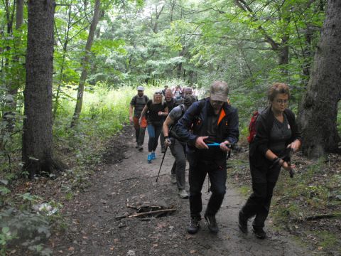 Wycieczka po Pogórzu Wałbrzyskim s8 - PTTK Strzelin