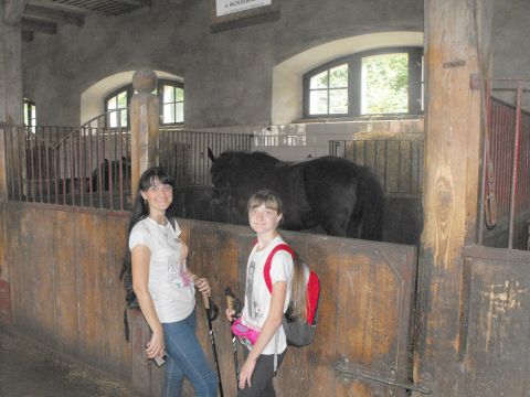 Wycieczka po Pogórzu Wałbrzyskim s14 - PTTK Strzelin