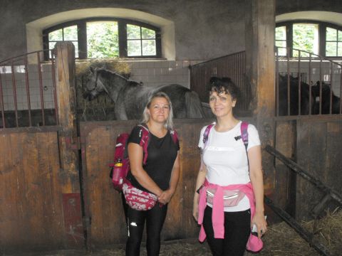 Wycieczka po Pogórzu Wałbrzyskim s15 - PTTK Strzelin