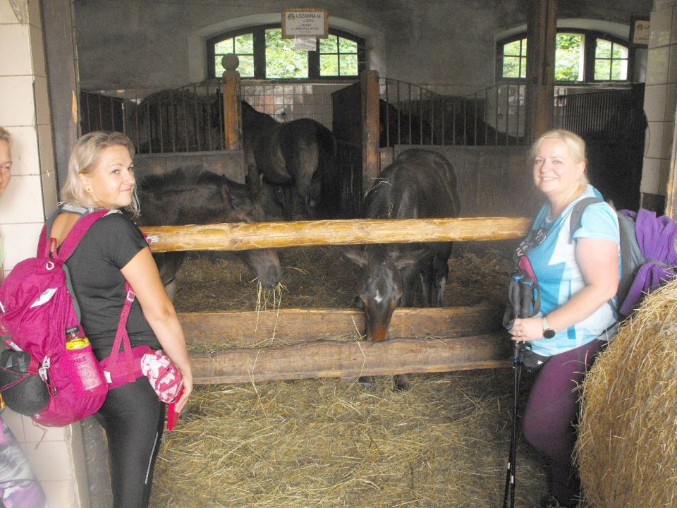 Wycieczka po Pogórzu Wałbrzyskim s002 - PTTK Strzelin