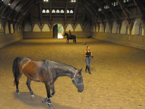 Wycieczka po Pogórzu Wałbrzyskim s19 - PTTK Strzelin