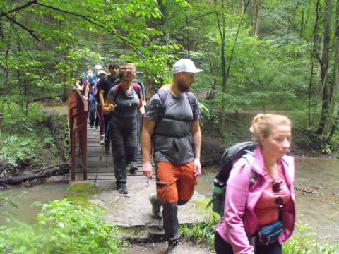 Wycieczka po Pogórzu Wałbrzyskim s43 - PTTK Strzelin